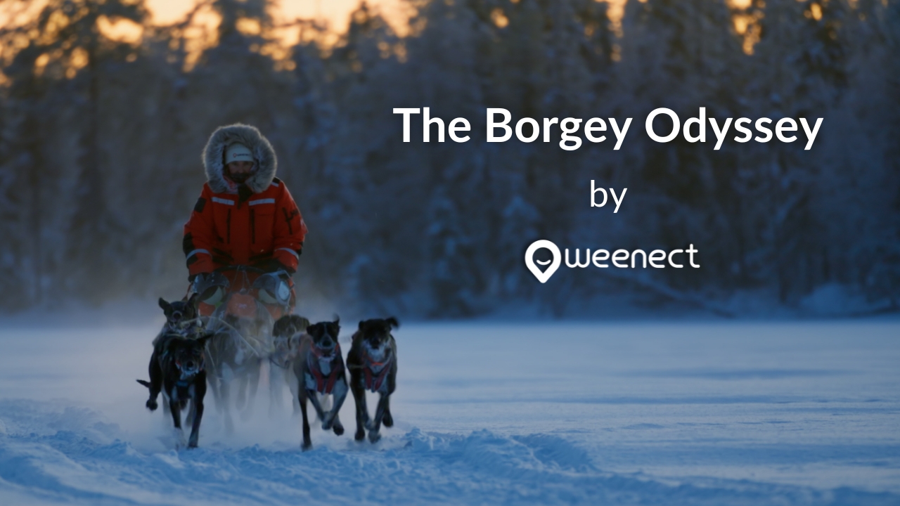 The Borgey Odyssey by Weenect