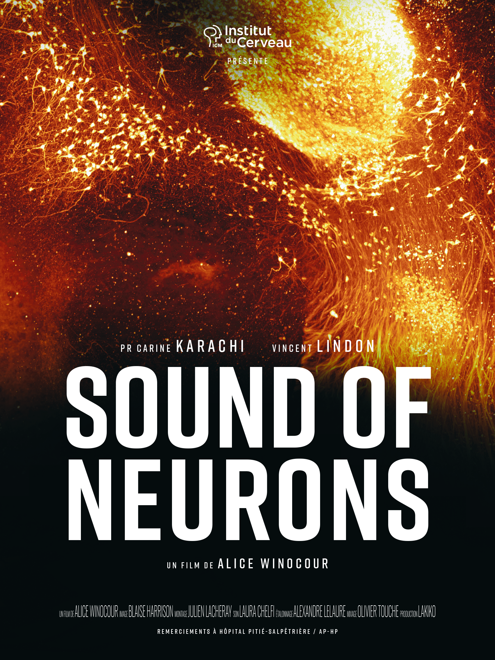 SOUNDS OF NEURONS